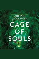 Cage_of_Souls