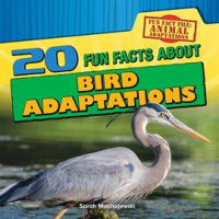 20_Fun_Facts_About_Bird_Adaptations