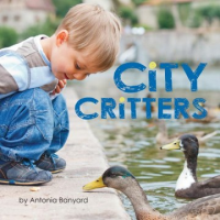 City_critters