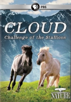 Cloud__challenge_of_the_stallions