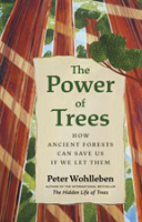 The_Power_of_Trees