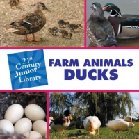 Farm_animals__Ducks