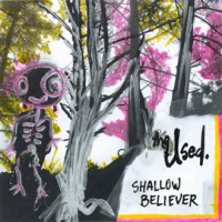 Shallow_Believer