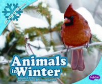 Animals_in_winter