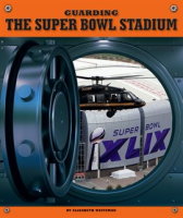Guarding_the_Super_Bowl_Stadium