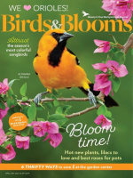 Birds___Blooms