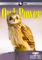 Owl_power
