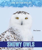 Snowy_Owls