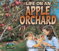 Life_on_an_apple_orchard