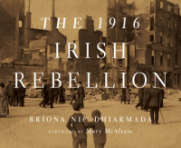 The_1916_Irish_Rebellion