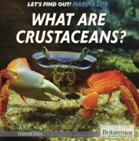 What_Are_Crustaceans_