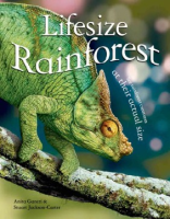 Lifesize_rainforest
