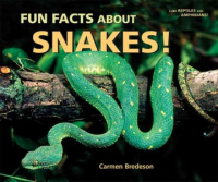 Fun_facts_about_snakes_