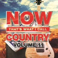 Now_that_s_what_I_call_country