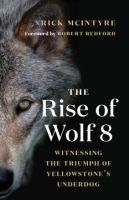 The_rise_of_wolf_8