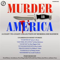 Murder_in_America