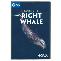 Saving_the_right_whale