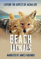 Beach_jackals