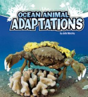 Ocean_Animal_Adaptations