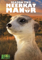 Meerkat_manor__Season_2