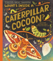 What_s_inside_a_caterpillar_cocoon_