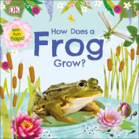 How_does_a_frog_grow_