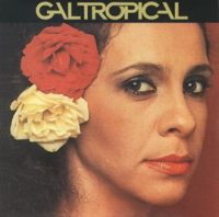 Gal_Tropical