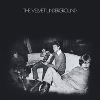 The_Velvet_Underground__45th_Anniversary_