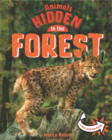 Animals_hidden_in_the_forest