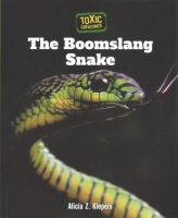 The_Boomslang_snake