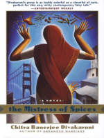 The_Mistress_of_Spices