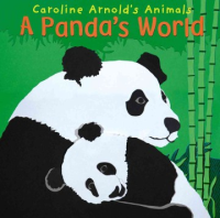 A_panda_s_world