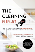 The_cleaning_ninja