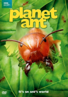 Planet_ant